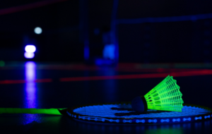 BLACKMINTON à FONTAINE FRANCAISE